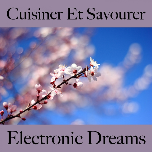 Cuisiner Et Savourer: Electronic Dreams - Les Meilleurs Sons Pour Se Détendre