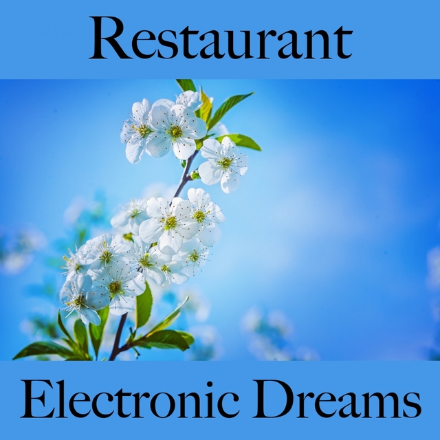 Restaurant: Electronic Dreams - The Best Sounds For Relaxation