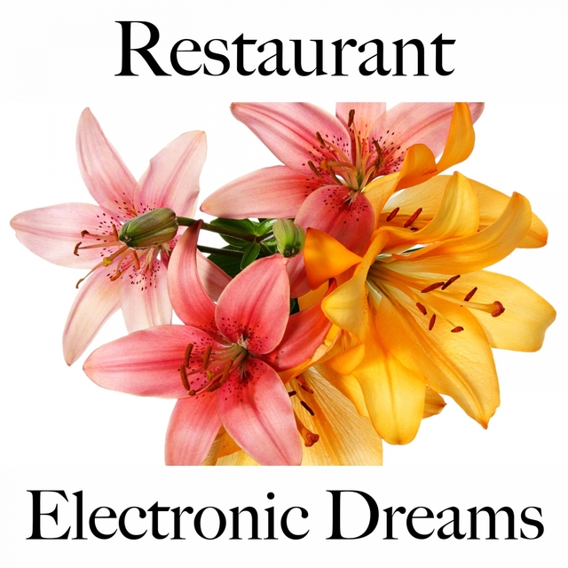 Restaurant: Electronic Dreams - Les Meilleurs Sons Pour Se Détendre