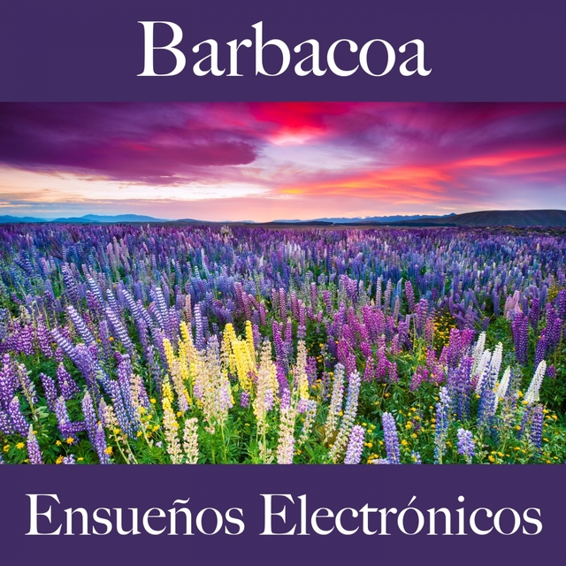 Barbacoa: Ensueños Electrónicos - Los Mejores Sonidos Para Descancarse