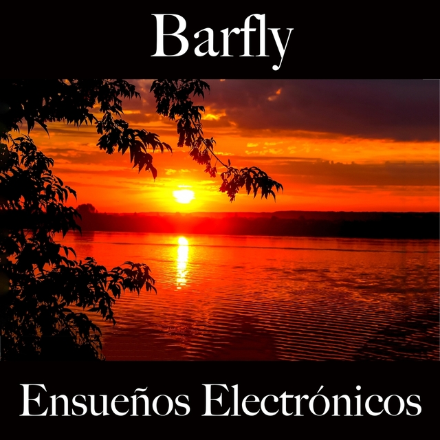 Barfly: Ensueños Electrónicos - Los Mejores Sonidos Para Descancarse