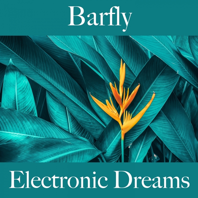 Couverture de Barfly: Electronic Dreams - Os Melhores Sons Para Relaxar