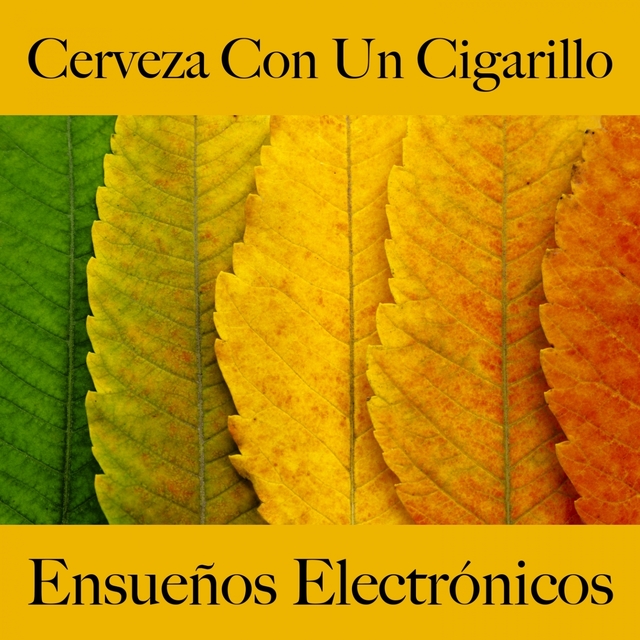 Cerveza Con Un Cigarillo: Ensueños Electrónicos - Los Mejores Sonidos Para Descancarse