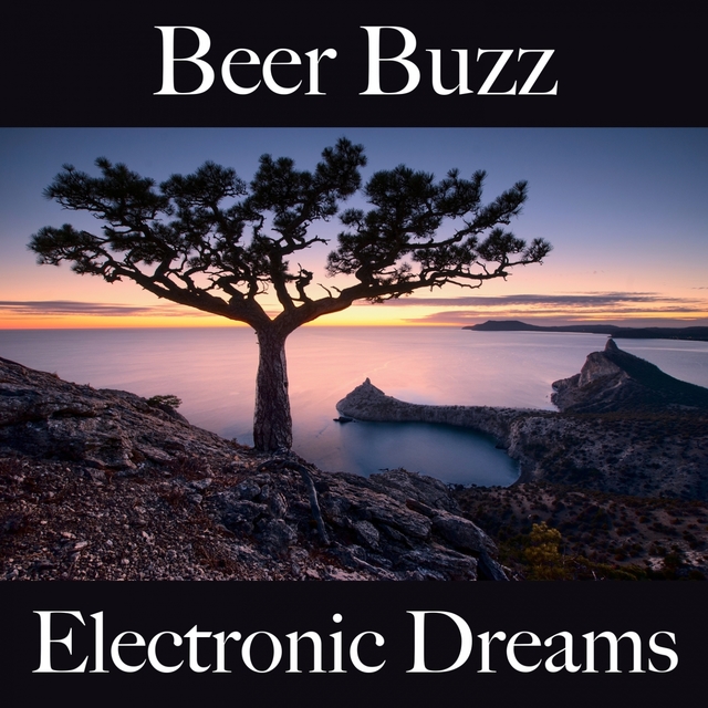 Beer Buzz: Electronic Dreams - The Best Sounds For Relaxation