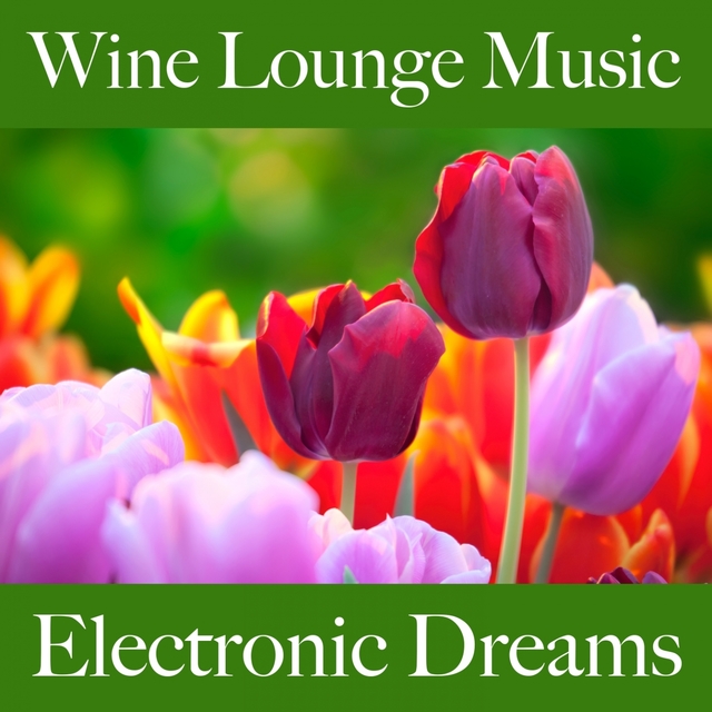 Wine Lounge Music: Electronic Dreams - Les Meilleurs Sons Pour Se Détendre