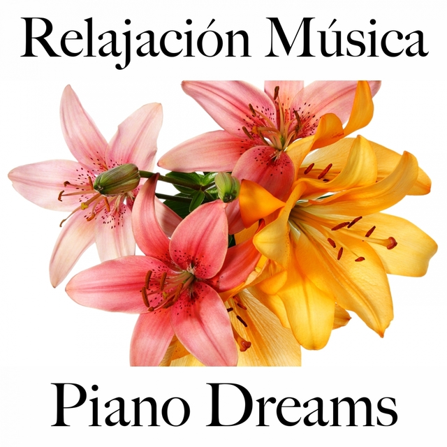 Relajación Música: Piano Dreams - La Mejor Música Para Relajarse