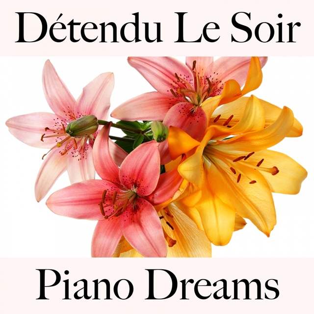 Détendu Le Soir: Piano Dreams - La Meilleure Musique Pour Se Détendre