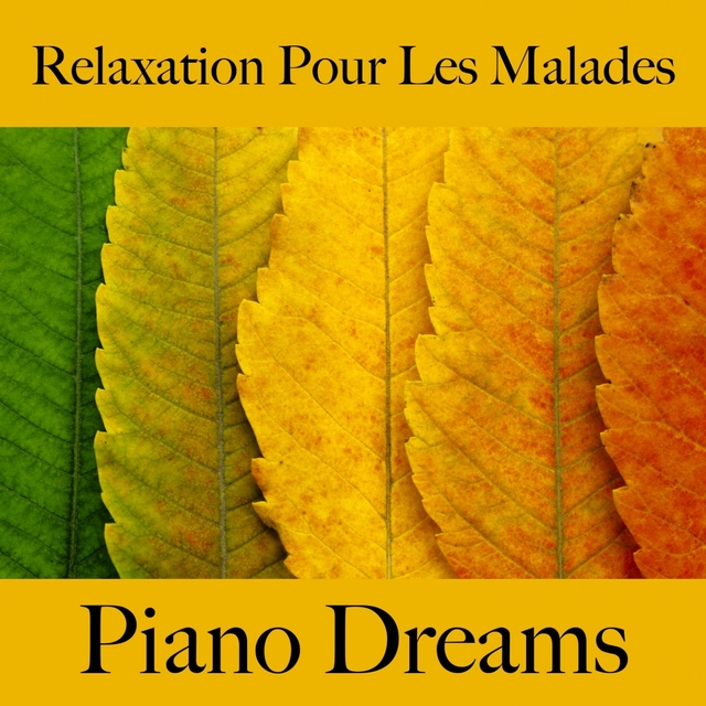 Relaxation Pour Les Malades: Piano Dreams - La Meilleure Musique Pour Se Détendre