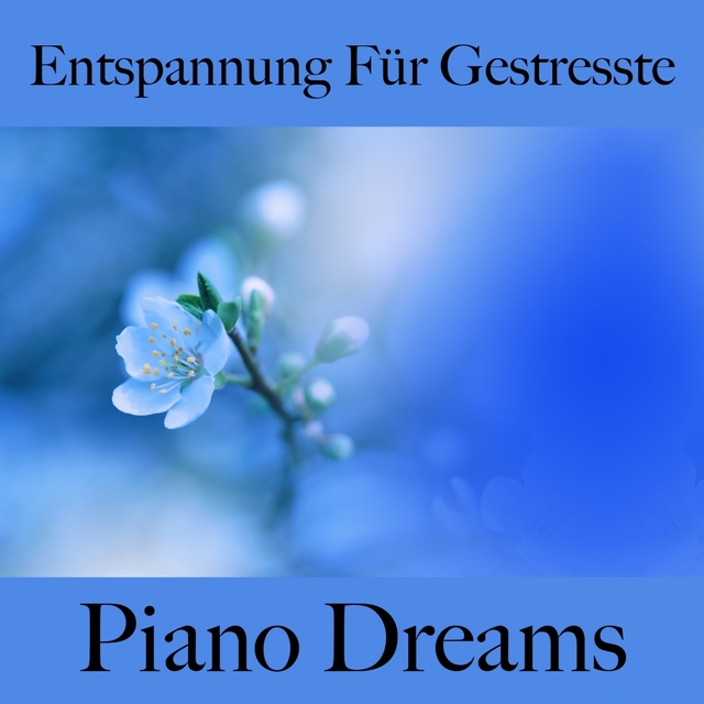 Entspannung Für Gestresste: Piano Dreams - Die Beste Musik Zum Entspannen