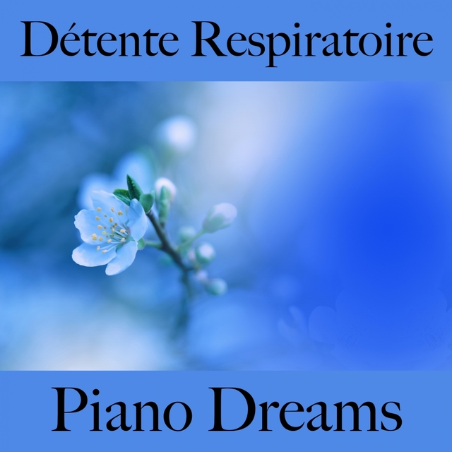 Détente Respiratoire: Piano Dreams - La Meilleure Musique Pour Se Détendre