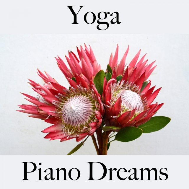 Yoga: Piano Dreams - La Mejor Música Para Relajarse