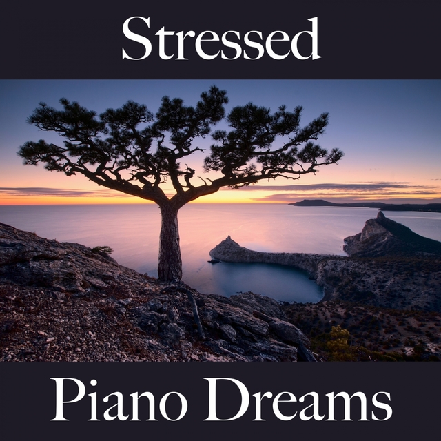 Stressed: Piano Dreams - The Best Music For Relaxation