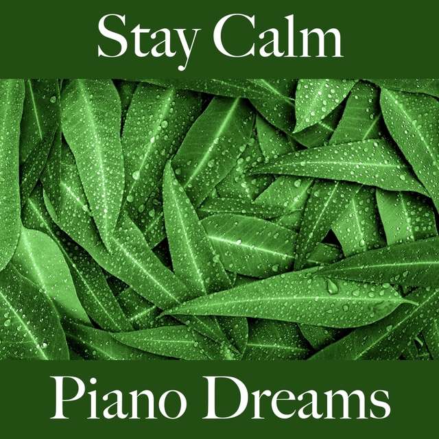 Stay Calm: Piano Dreams - The Best Music For Relaxation