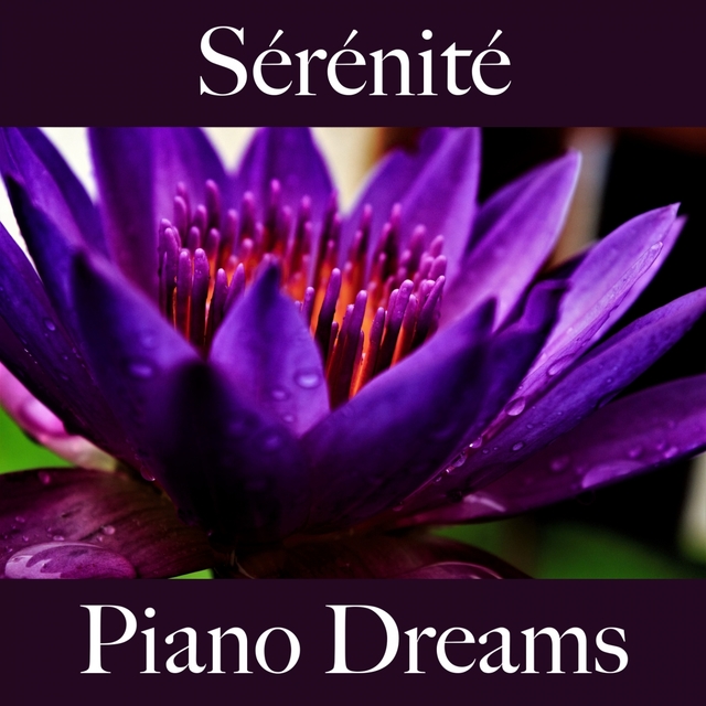 Sérénité: Piano Dreams - La Meilleure Musique Pour Se Détendre