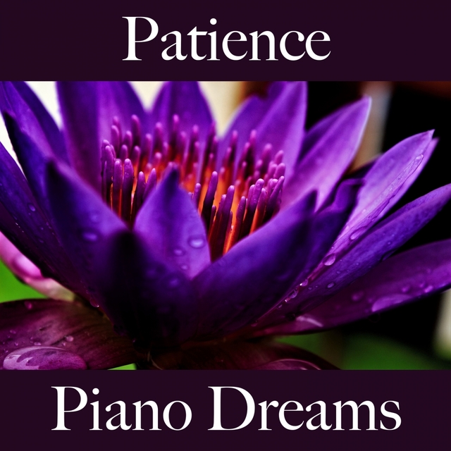 Patience: Piano Dreams - The Best Music For Relaxation