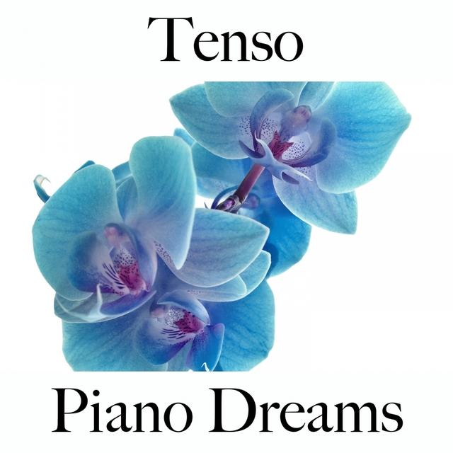 Tenso: Piano Dreams - A Melhor Música Para Relaxar