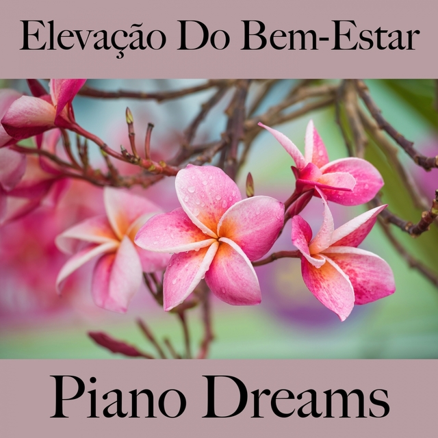 Elevação Do Bem-Estar: Piano Dreams - A Melhor Música Para Relaxar