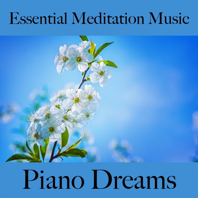 Essential Meditation Music: Piano Dreams - La Meilleure Musique Pour Se Détendre