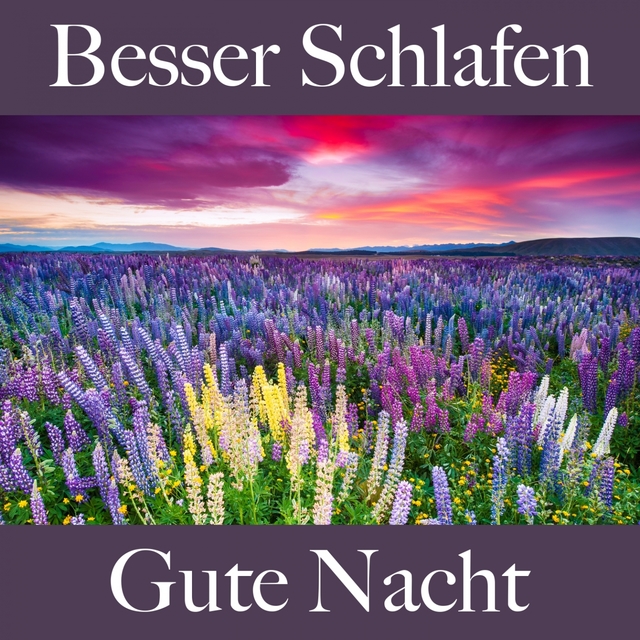 Besser Schlafen: Gute Nacht: Piano Dreams - Die Beste Musik Zum Entspannen