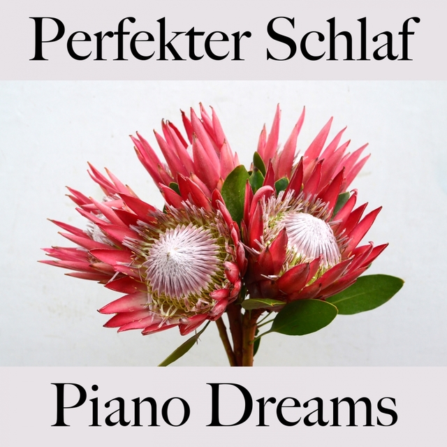 Perfekter Schlaf: Piano Dreams - Die Beste Musik Zum Entspannen