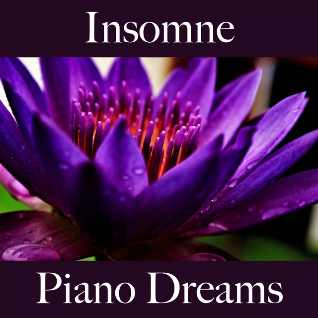 Insomne: Piano Dreams - La Mejor Música Para Relajarse