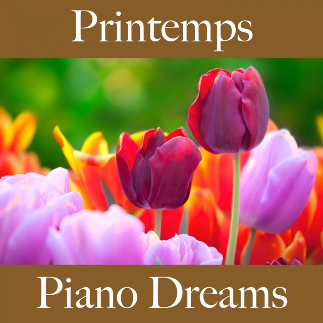 Printemps: Piano Dreams - La Meilleure Musique Pour Se Détendre