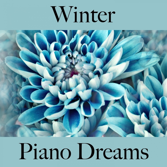 Winter: Piano Dreams - Die Beste Musik Zum Entspannen