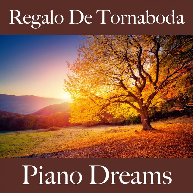 Regalo De Tornaboda: Piano Dreams - La Mejor Música Para Descansarse