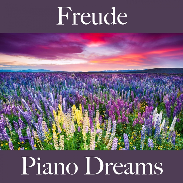 Freude: Piano Dreams - Die Beste Musik Zum Entspannen