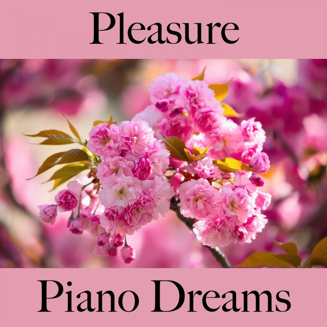 Pleasure: Piano Dreams - The Best Music For Relaxation