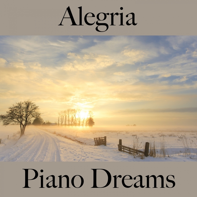 Alegria: Piano Dreams - A Melhor Música Para Relaxar