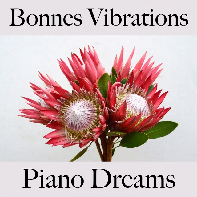 Bonnes Vibrations: Piano Dreams - La Meilleure Musique Pour Se Détendre