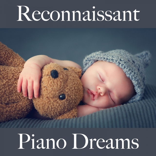 Reconnaissant: Piano Dreams - La Meilleure Musique Pour Se Détendre