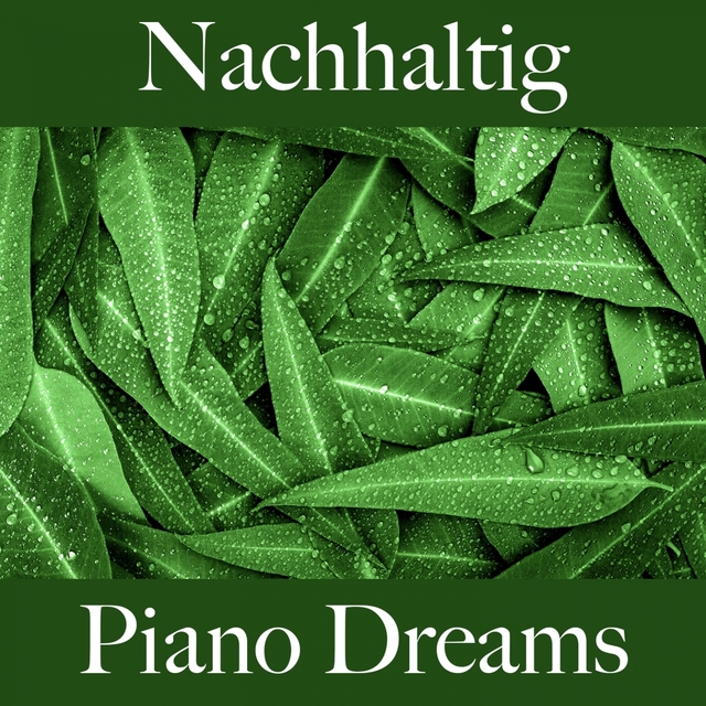 Nachhaltig: Piano Dreams - Die Beste Musik Zum Entspannen