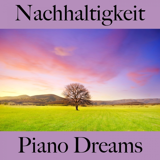Nachhaltigkeit: Piano Dreams - Die Beste Musik Zum Entspannen
