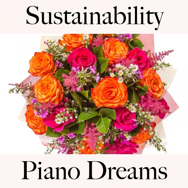 Sustainability: Piano Dreams - The Best Music For Relaxation