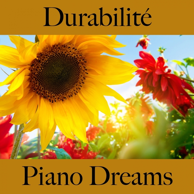 Durabilité: Piano Dreams - La Meilleure Musique Pour Se Détendre