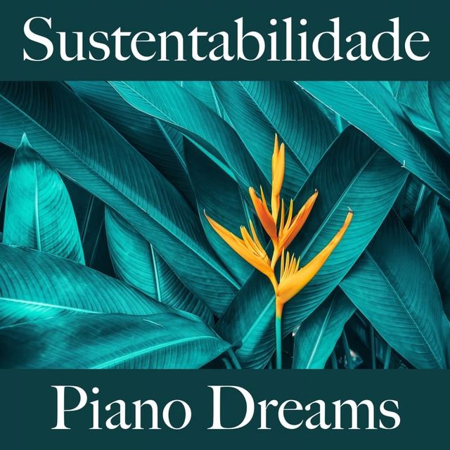 Sustentabilidade: Piano Dreams - A Melhor Música Para Relaxar