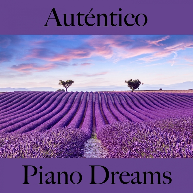 Auténtico: Piano Dreams - La Mejor Música Para Descansarse