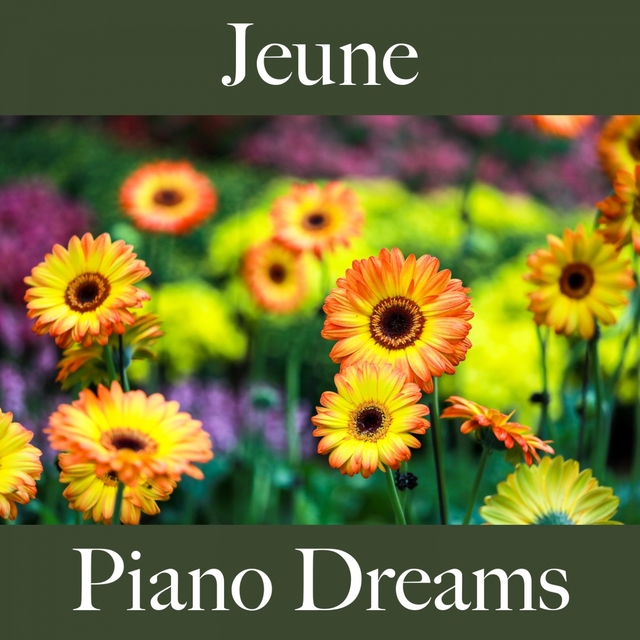 Jeune: Piano Dreams - La Meilleure Musique Pour Se Détendre