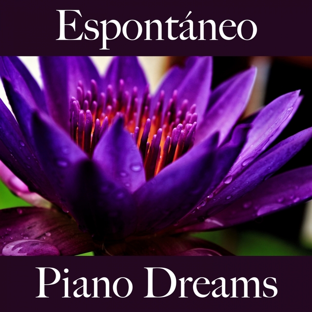 Espontáneo: Piano Dreams - La Mejor Música Para Descansarse