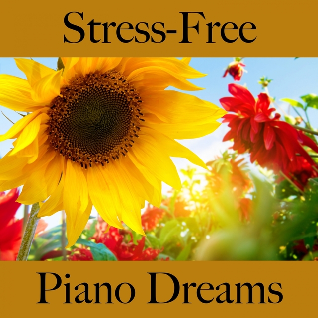 Stress-Free: Piano Dreams - The Best Music For Relaxation