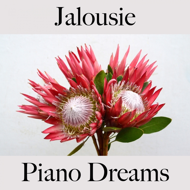 Jalousie: Piano Dreams - La Meilleure Musique Pour Se Sentir Mieux