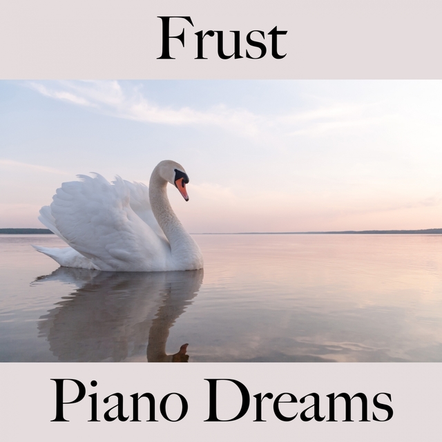 Frust: Piano Dreams - Die Beste Musik Um Sich Besser Zu Fühlen