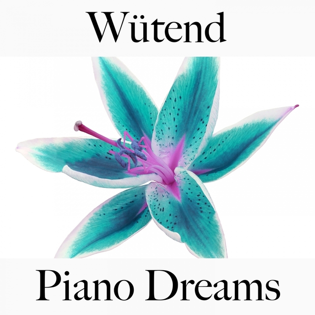 Wütend: Piano Dreams - Die Beste Musik Um Sich Besser Zu Fühlen