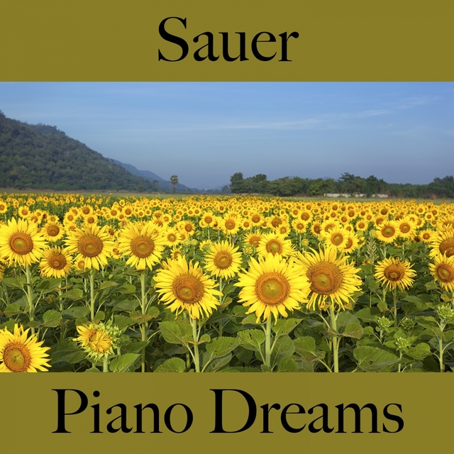 Sauer: Piano Dreams - Die Beste Musik Um Sich Besser Zu Fühlen