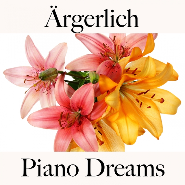 Ärgerlich: Piano Dreams - Die Beste Musik Um Sich Besser Zu Fühlen