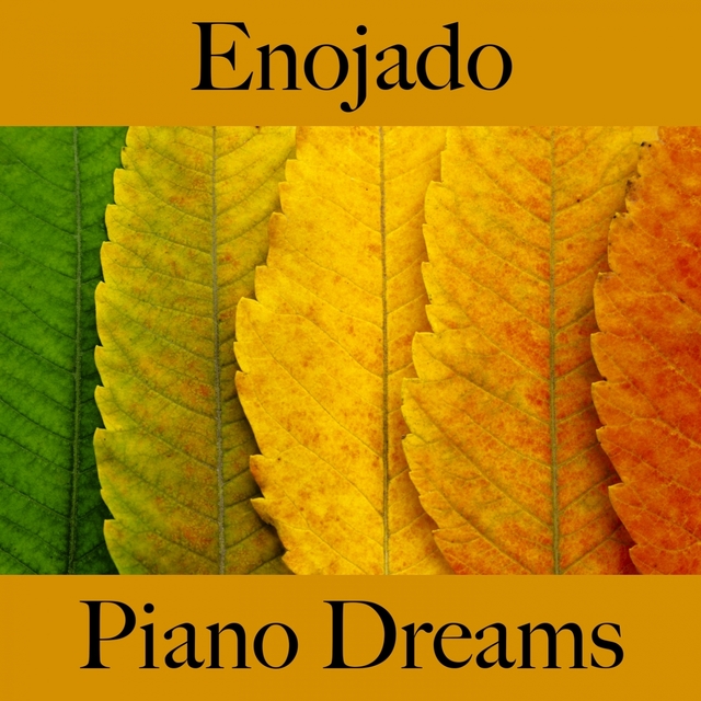 Enojado: Piano Dreams - La Mejor Música Para Sentirse Mejor