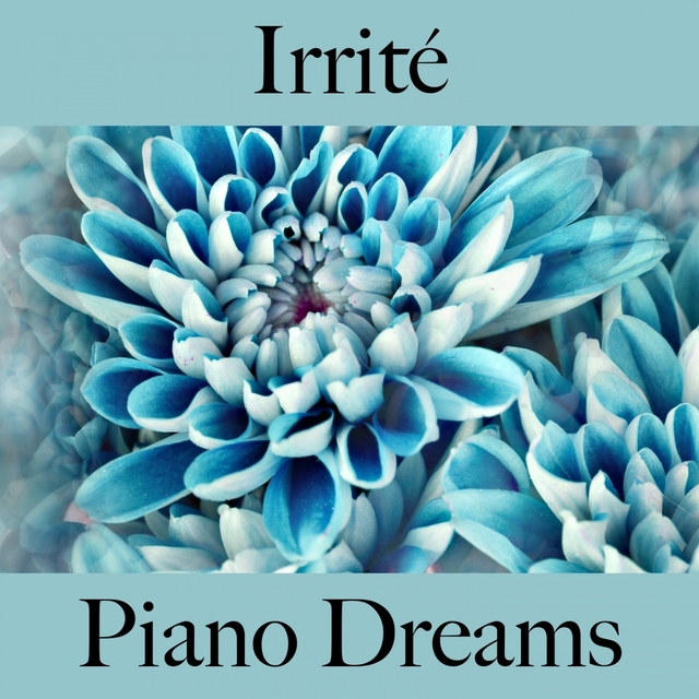 Irrité: Piano Dreams - La Meilleure Musique Pour Se Sentir Mieux