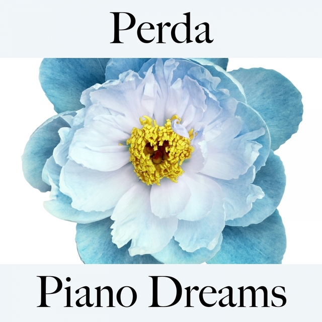 Perda: Piano Dreams - A Melhor Música Para Sentir-Se Melhor